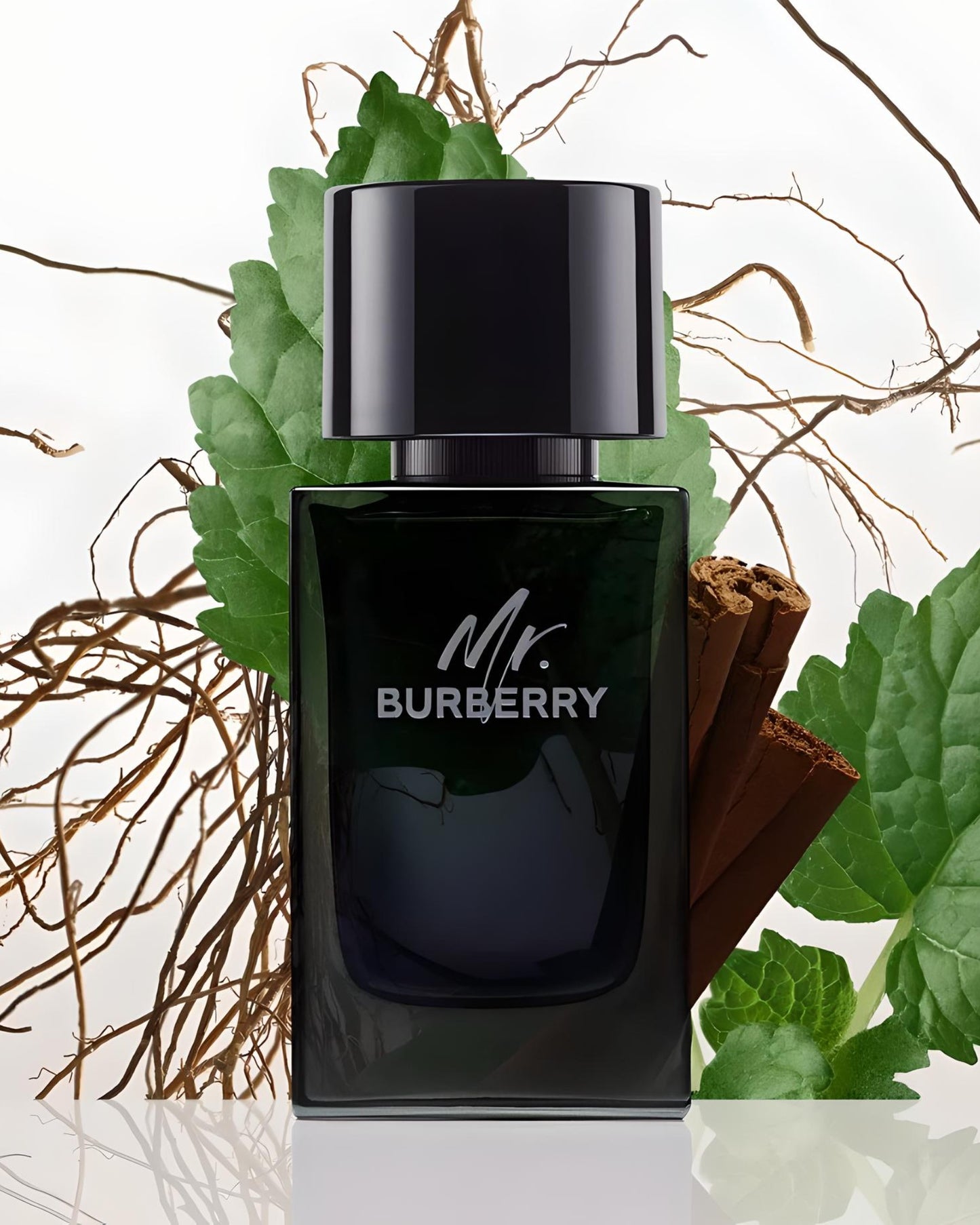 Burberry Men's Mr. Burberry Eau de Parfum Spray, 3.3 oz